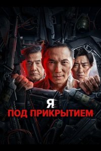 Я под прикрытием